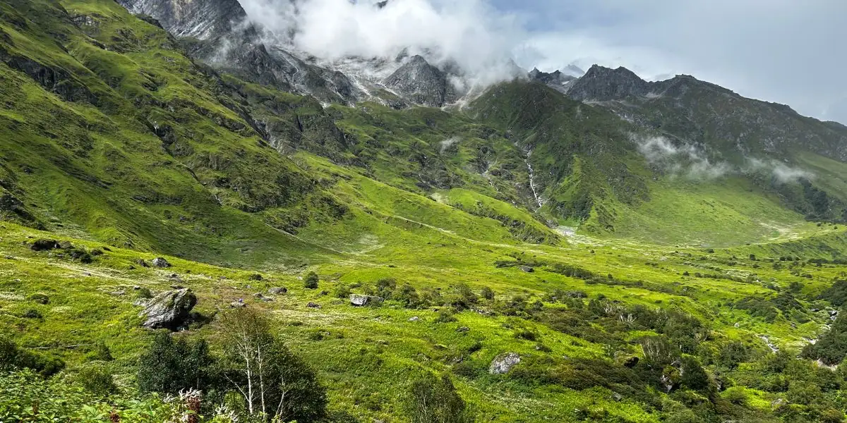 Valley of Flowers